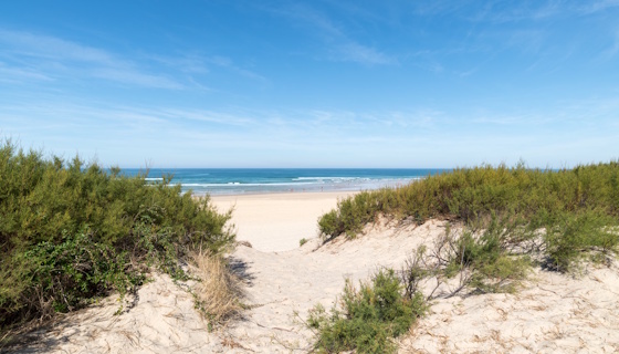 Landes
