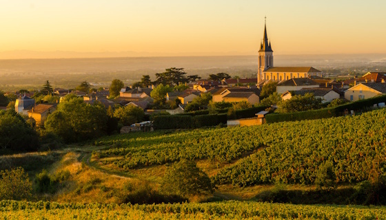 Rhone